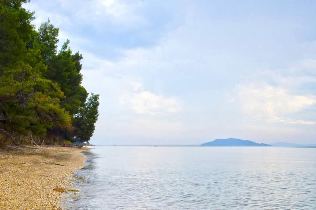 Elia Apartments Sithonia Eksteriør billede